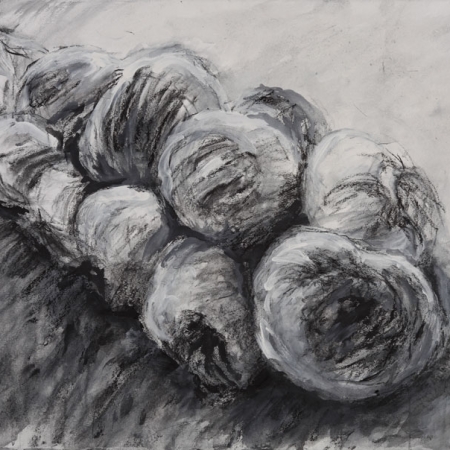 Braided Garlic Drawing #5, 2010, mixed medial on paper, 22” x 30”