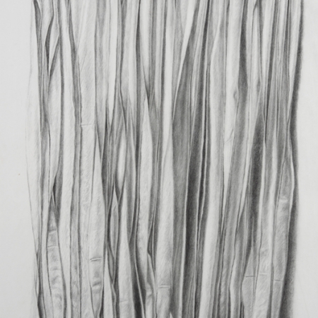 Unfolding #1, 2008, 24 in x 37 in