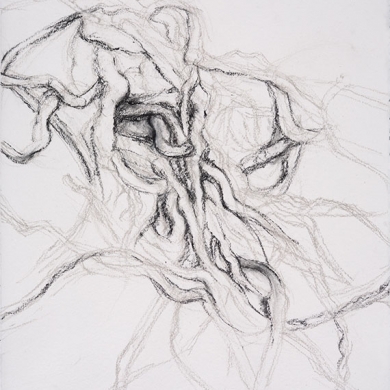 Entangled #1 - pastel and charcoal on paper, 22 in x 30 in