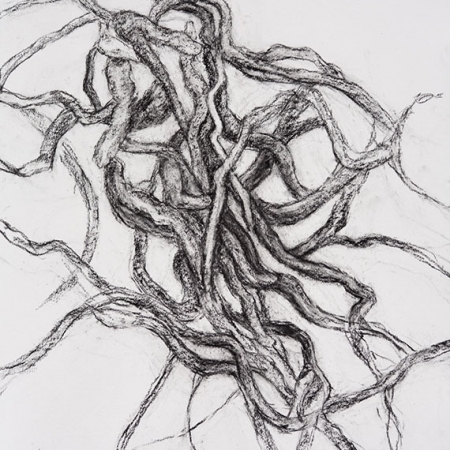 Entangled #2 - charcoal on paper, 22 in x 30 in